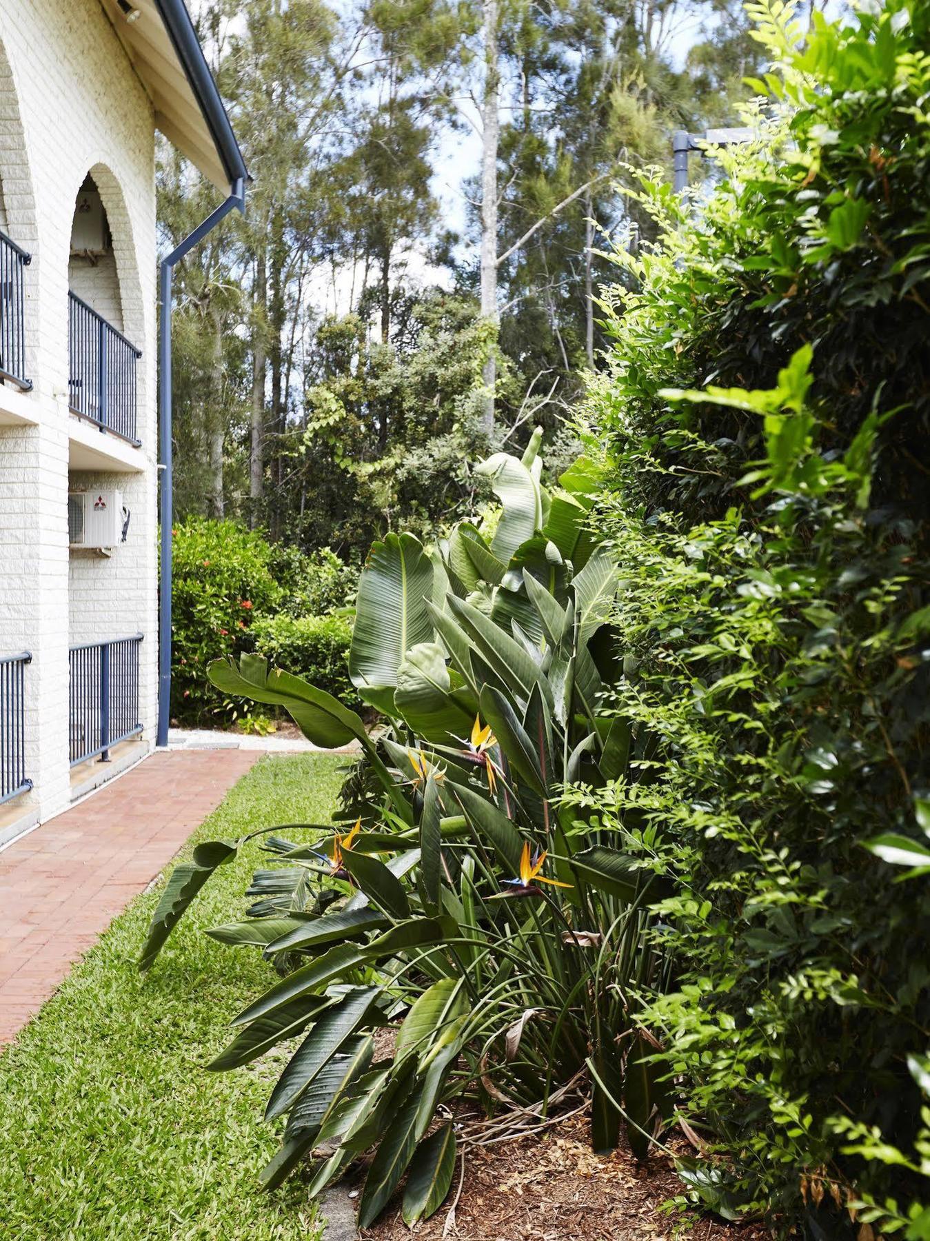 Bay Beach Motel Byron Bay Eksteriør billede
